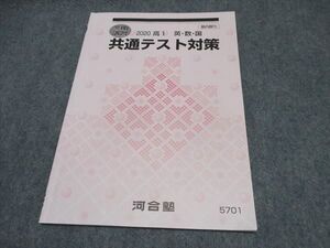 WP17-017 河合塾 高1 共通テスト対策 テキスト 2020 ☆ 05s0B