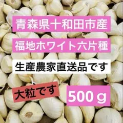 青森県産ニンニク 福地ホワイト6片種 500ｇ