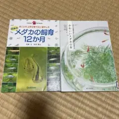 メダカの飼育 12か月 かわいいメダカの本 2冊セット ビオトープ