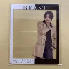 谷口賢志 織田作之助 アクリルクリアカード 文豪ストレイドッグス BEAST