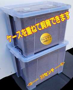 【2セット】幼虫を入れるだけ！便利！特大ケース入り!プレミアム発酵マット　深い容器なので大型カブトムシ羽化！コバエ防止フィルター付き