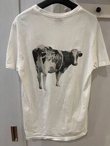 Stussy Grassfed ステューシー グラスフェッド T シャツ S