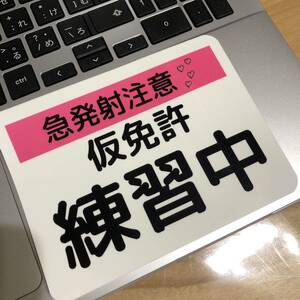 仮免許練習中ステッカー　大サイズ　パロディー　デコトラ　暴走族　旧車會