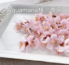 Aquamana様♡専用