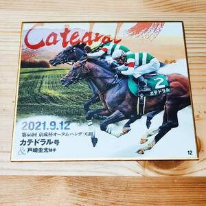 競馬 トレーディング mini色紙　カテドラル　戸崎圭太　京成杯オータムハンデ 2021年・秋 名馬 箔押し 東映エージエンシー