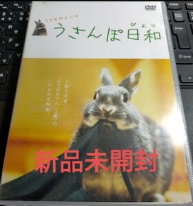 即決 送料無料 新品未開封 DVD うさんぽ日和 うさぎのよつば 40分 兎 特典付き うさぎ