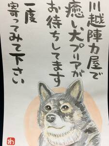 高橋わたる 高橋亘 たかはしわたる 真作 漫画家 水彩画 肉筆画 風景画 絵画 絵 直筆 犬 イラスト画 デッサン 詩 唄歌 盲導犬 動物画 プリマ