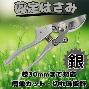 剪定ばさみ バサミ 園芸 30mm 花切りハサミ 庭 剪定鋏 ガーデン 枝切 銀 軽量