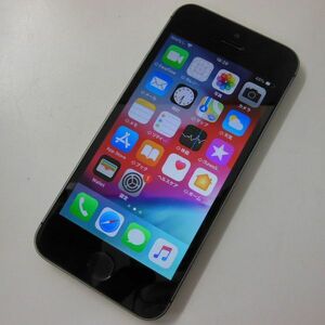 iPhone ME335J/A本体のみ　iPhone5s 64GB ソフトバンクネットワーク利用制限判定〇　アップル Appleお安くどうぞ