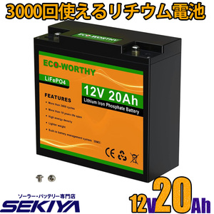 リン酸鉄リチウム電池 12v 20Ah 256Wh 3000回寿命 BMS保護 軽量 コンパクト LiFePO4 ディープサイクルバッテリー SEKIYA