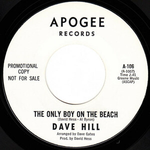 Dave Hill The Only Boy On The Beach David Gates 俳優 ティーンポップ サーフィン サマー