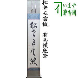 中古 茶道具 掛軸 掛け軸 一行 松老五雲披 有馬頼底筆 茶道