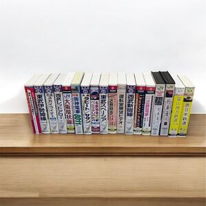 大量まとめ 鉄道グッズ VHS 鉄道ビデオテープ 鉄道シリーズ 18本現状品