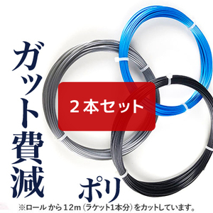 【12mカット品】ABC ガット費減 ポリエステル127｜シルバー/1.27mm x２本セット