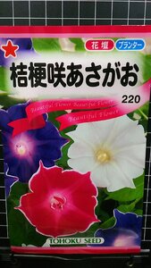 ３袋セット 桔梗咲 あさがお 混合 朝顔 種 郵便は送料無料