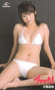 ★小阪由佳　ヴァッカ!★テレカ５０度数未使用um_222