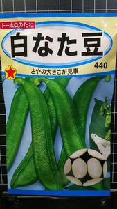 ３袋セット 白 なた豆 ナタマメ 種 郵便は送料無料