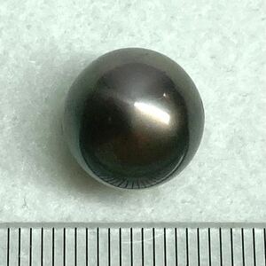 ソ付き!!1円〜!!◯南洋黒蝶真珠14.206ct◯n 約12.7mm ルース 裸石 宝石 black pearl tahitian 真珠 CG1/CG1 テEA5◎ w4 82