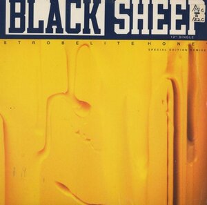 即決(12)STROBELITE HONEY/BLACK SHEEP *DAVID MORALES