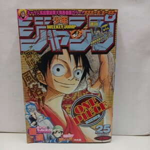  週刊少年ジャンプ 2004年25 少年漫画 ジャンプ 集英社 　 ワンピース 銀魂 内水融 ボボボ-ボ- BLEACH デスノート こち亀 ナルト 