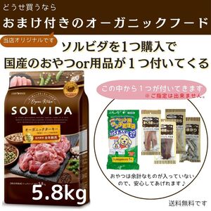 ソルビダ グレインフリー ターキー 室内飼育全年齢対応 5.8㎏【国産のおやつor用品が２個つきます♪】