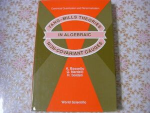 数学洋書 Yang-Mills theories in algebraic non-covariant gauges : canonical quantization and renormalization ヤン＝ミルズ理論 J30