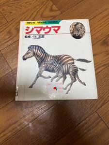 ゆかいなちきゅうのなかまたち8 シマウマ　上野動物園園長　中川志郎　城谷英男　創育　リサイクル資料　除籍本　しまうま