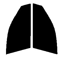 スモーク　２６％　2層構造フィルム　運転席・助手席　ステージア　M35　カット済みカーフィルム　