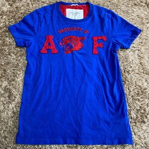 t44 Abercrombie&Fitch tシャツ サイズS表記 中国製