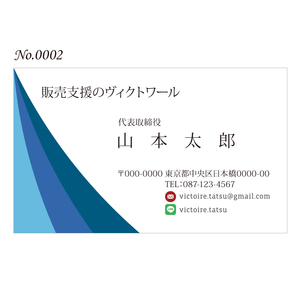 オリジナル名刺印刷 100枚 両面フルカラー 紙ケース付 No.0002