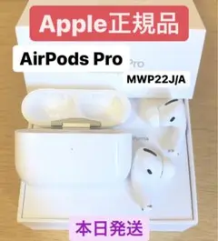 AirPods Pro エアーポッズプロ 本体　セット　イヤフォン＋充電ケース