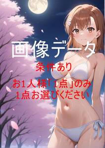 MMWR015 御坂 美琴(みかさ みこと)とある魔術の禁書目録 画像データ お一人様一点のみ(1円シリーズ全体で一点のみ) 