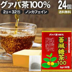 グァバ グァバ茶 グアバ グアバ茶 ガバ茶 ガバちゃ 茶葉 ティーパック ダイエット 2g*32包*24個セット 送料無料 宅配便