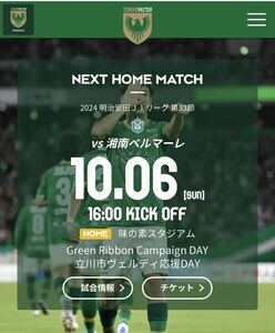 東京ヴェルディ　対　湘南ベルマーレ　サッカー Jリーグ　味の素スタジアム チケット バックB 大人　1枚　サッカー観戦　貴重　