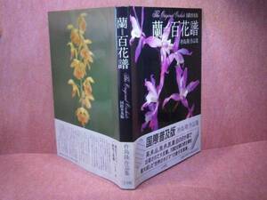 □杵島隆『国際普及版　蘭=百花譜』小学館’90年:初版:帯付