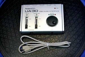 Roland ED USB Audio UA-30 ローランド　USBケーブル付き　48449Y