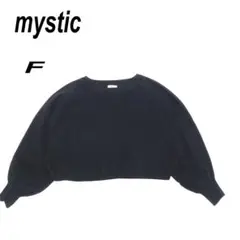 mystic ミスティック　ブラック ニットセーター ボリューム袖ショート丈　F