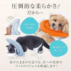 ☆ラスト1点‼☆エリザベスカラー 子猫 子犬 用 Sサイズ ブルー