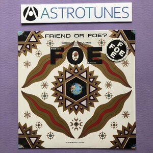 傷なし美盤 美ジャケ ほぼ新品 レア盤 フレンズ・オブ・アース 細野晴臣 Friends Of Earth FOE 1985年 LPレコード Friend Or Foe?