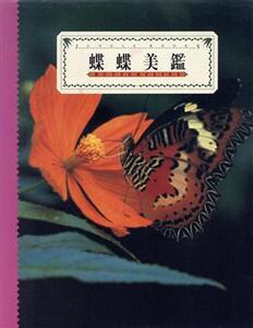 蝶蝶美鑑 BUTTERFLIES JUNGLE BOOKS/及川哲也,岸川典義,菅原一剛,大蔵康充【写真】,及川哲也【文】