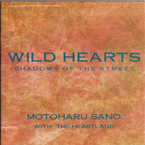 7inch★ 佐野元春 Wild Hearts（M