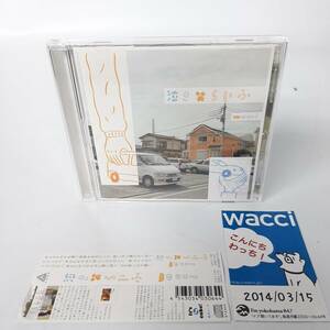 M1 【直筆サイン・帯付き】wacci / 泣き笑らいふ