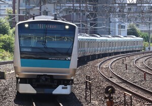 D938 JR京浜東北線 E233系 サイ120 鉄道写真