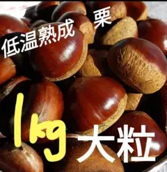 低温熟成栗　大粒　1kg