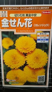 ３袋セット 金せん花 黄金 中安 キンセンカ カレンジュラ 種 郵便は送料無料