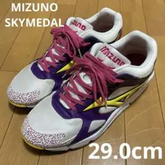 mizuno スカイメダル　珍品　29cm 美中古品