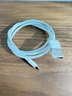 Apple Lightning -USBケーブル 1m 純正