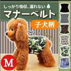 マナーベルト 犬 ずれない パンツ おむつカバー 小型犬 マナーウェア 子犬 M