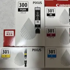 Canon PIXUS インクカートリッジセット 300 301