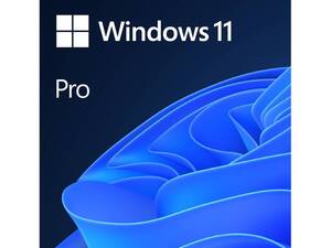 【認証保証】windows 11 pro プロダクトキー 正規 32/64bit サポート付き 新規インストール/HOMEからアップグレード対応